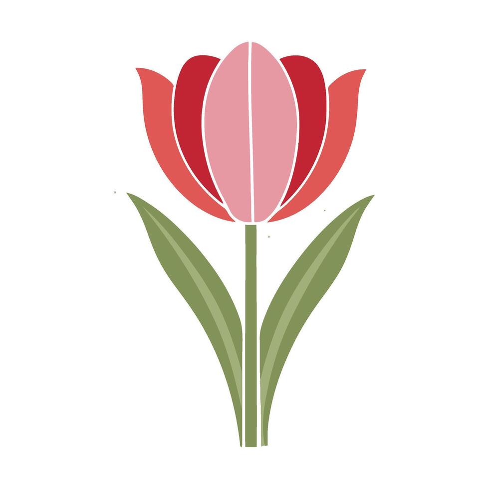 A red and pink tulip is shown on a white background vector