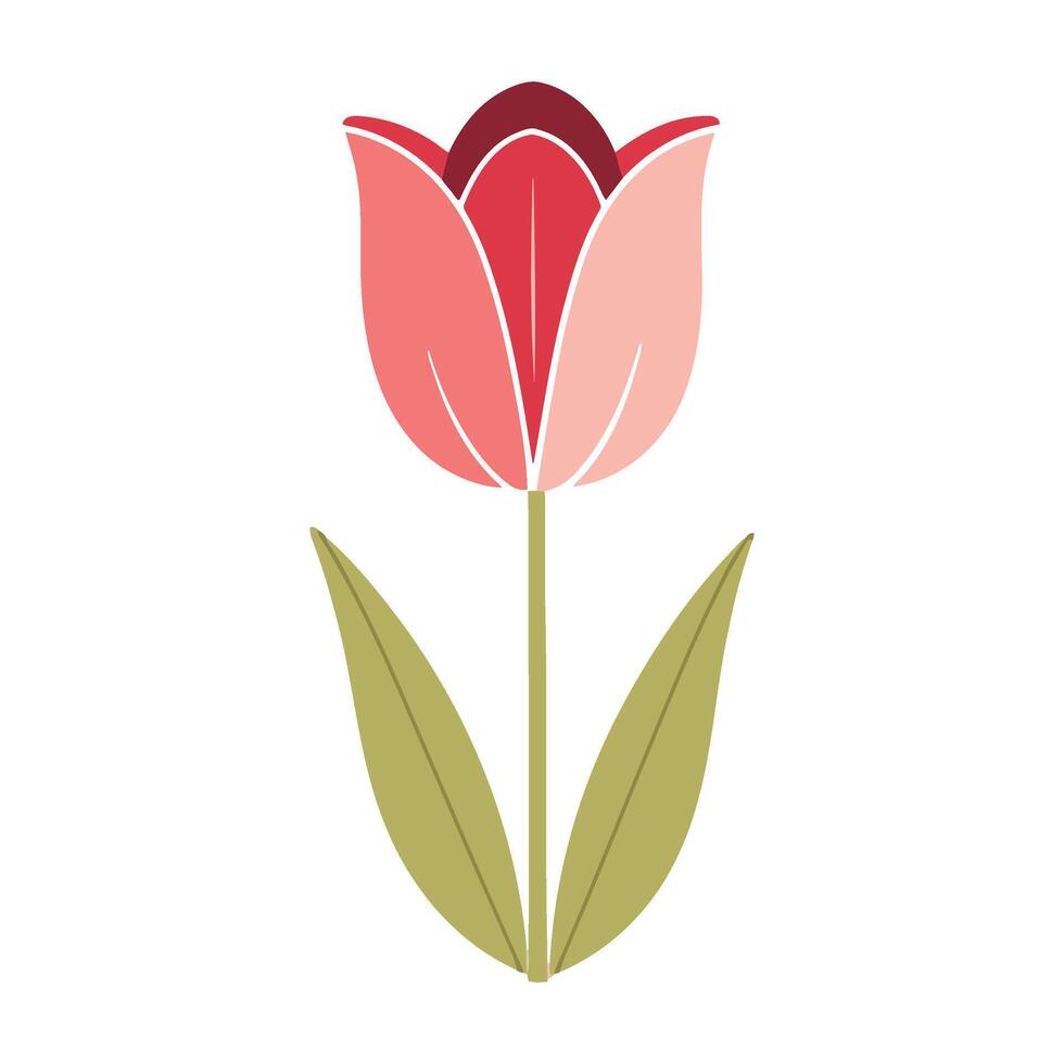 A red tulip with green leaves on a white background vector