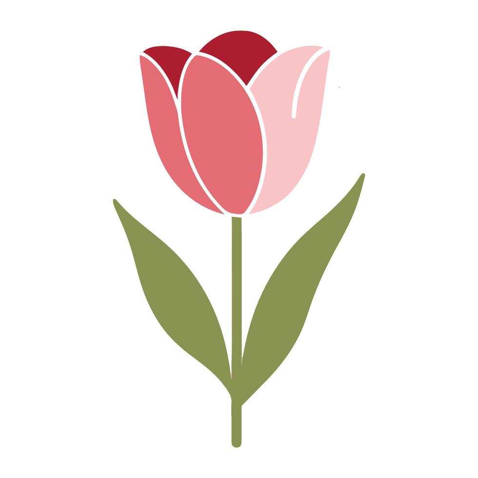 A pink tulip with green leaves on a white background vector