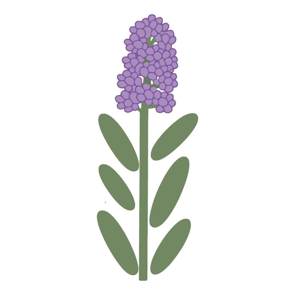 A purple flower with green leaves on it vector