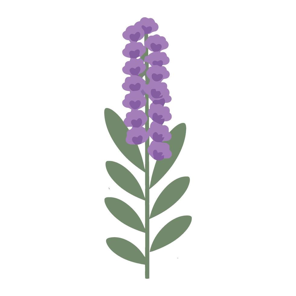A purple flower with green leaves on it vector