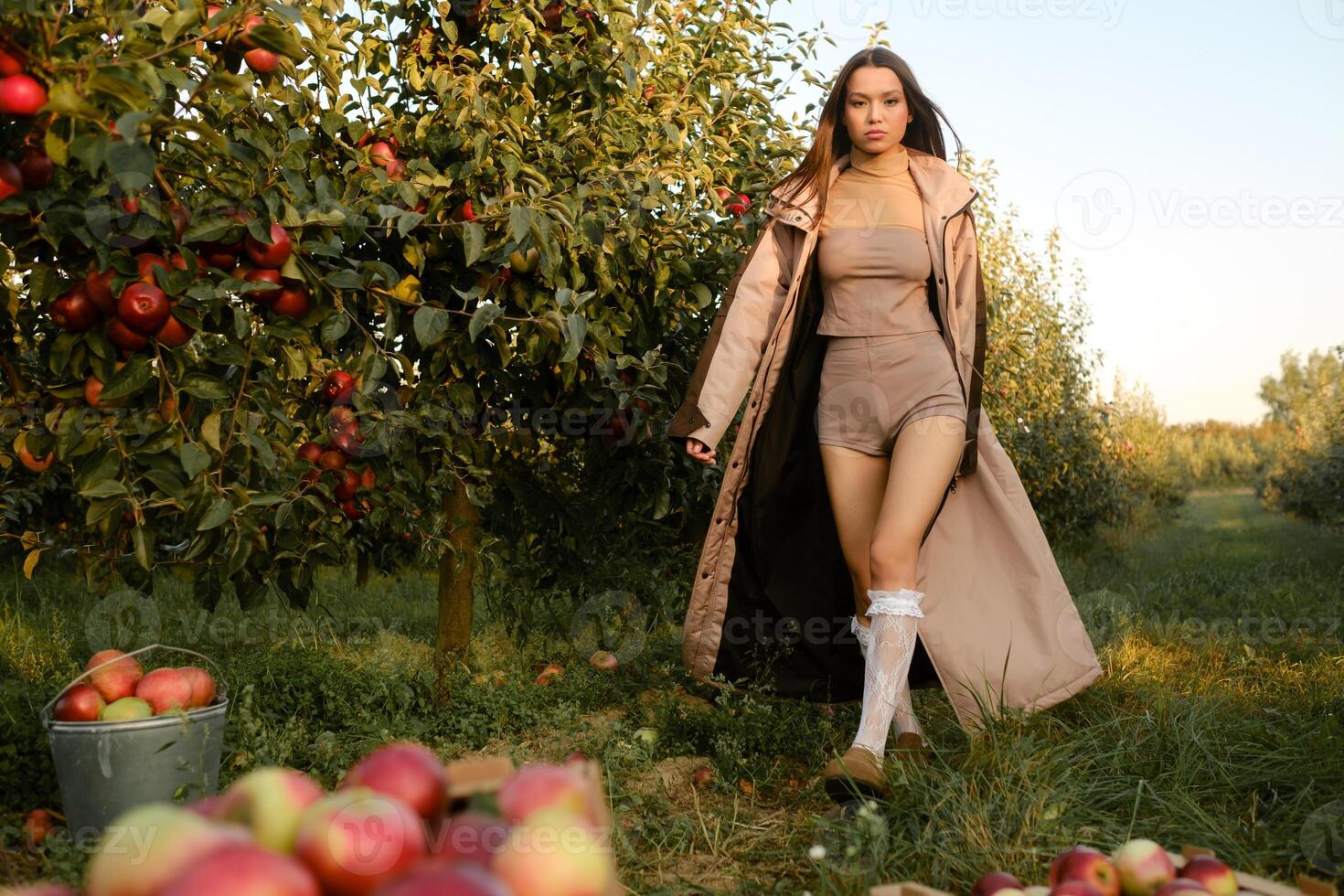 Stylish girl in gray raincoat walking in apple tree sunny fall orchard photo