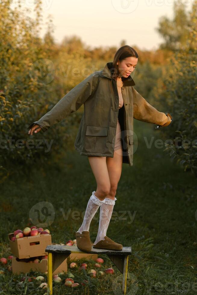 A stylish Asian girl in a jacket and white socks stands on a bench near harvested apples in a sunny autumn garden photo