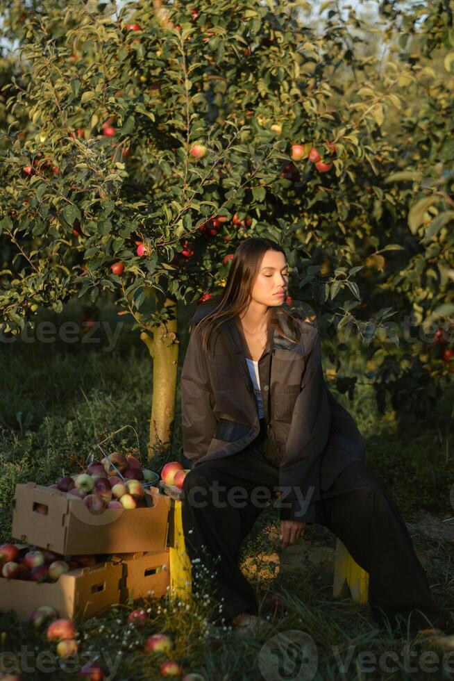 Stylish girl in black clothes sitting near picked apples in a sunny fall orchard photo