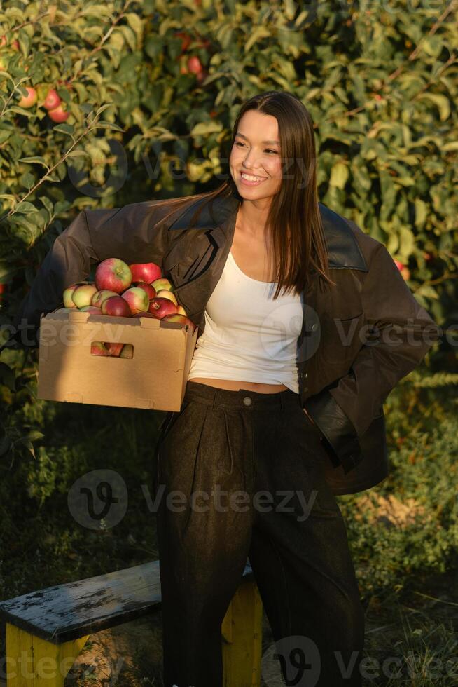Stylish girl in black clothes stands near the harvested apples in a sunny fall orchard photo