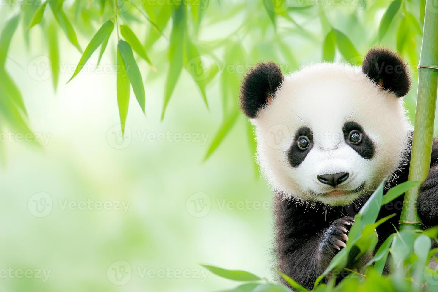 Cute baby panda exploring bamboo leaves in a bright and soothing atmosphere photo