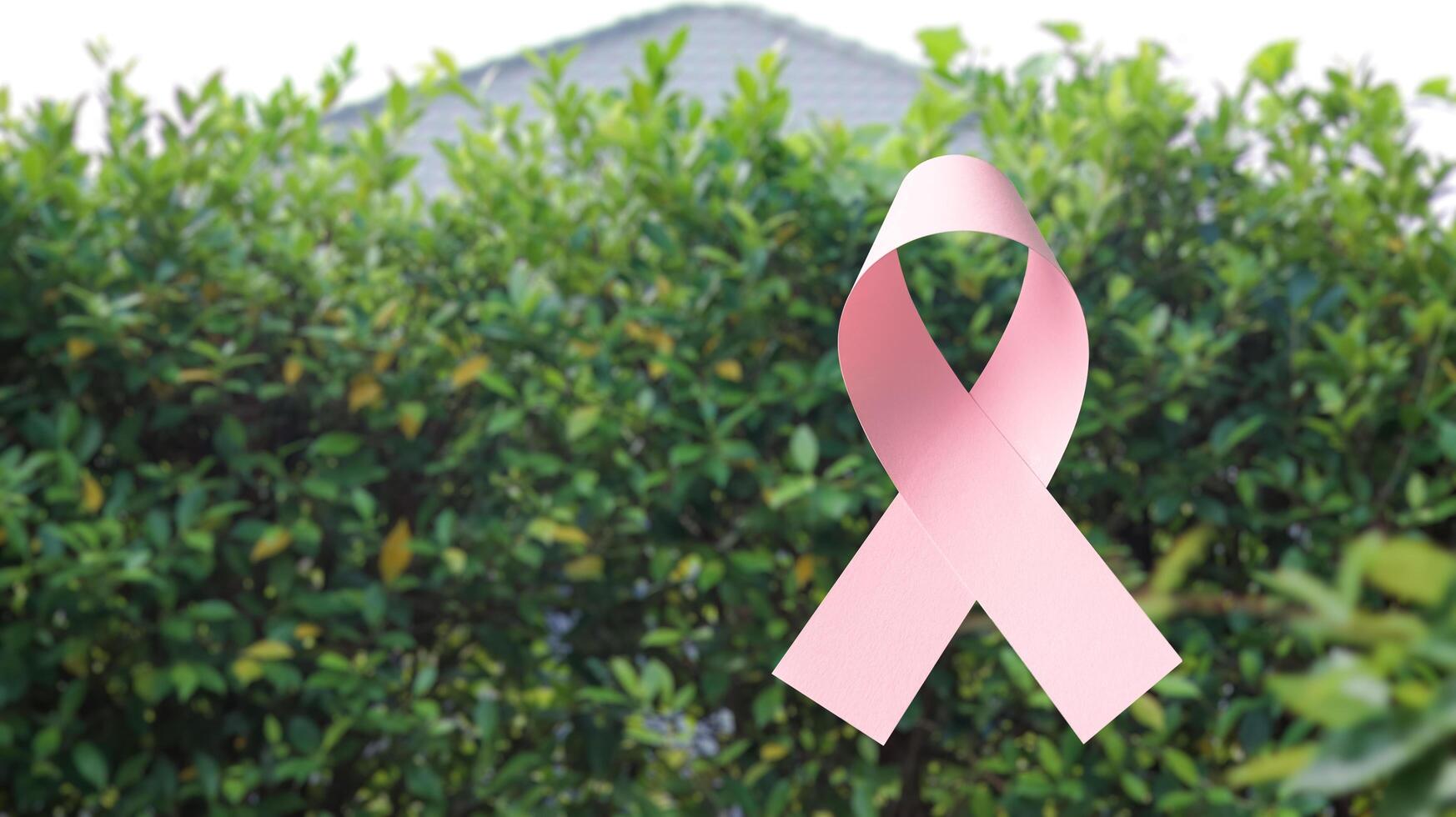 Pink ribbon, symbolizing cancer awareness, set against a blurred background of bushes, representing raising awareness and support for cancer related causes. photo