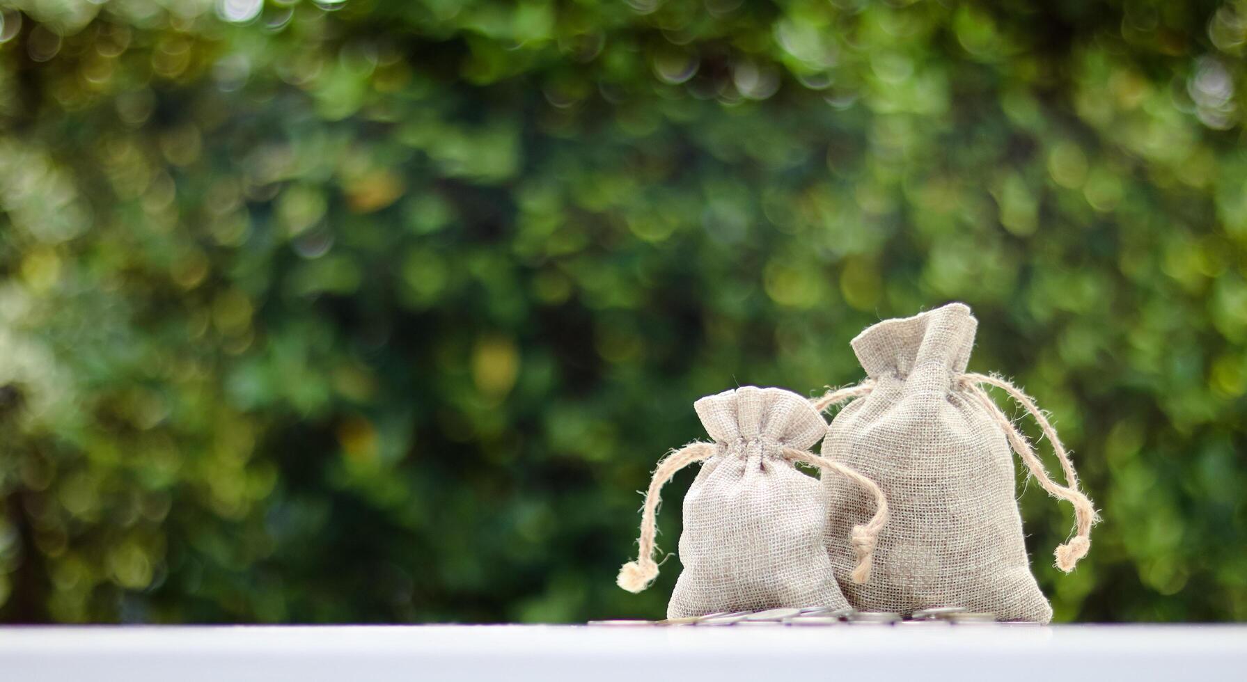 A burlap sack standing and another lying with coins spilling out onto a white surface, set against a blurred background of bushes, representing financial planning and budgeting. photo