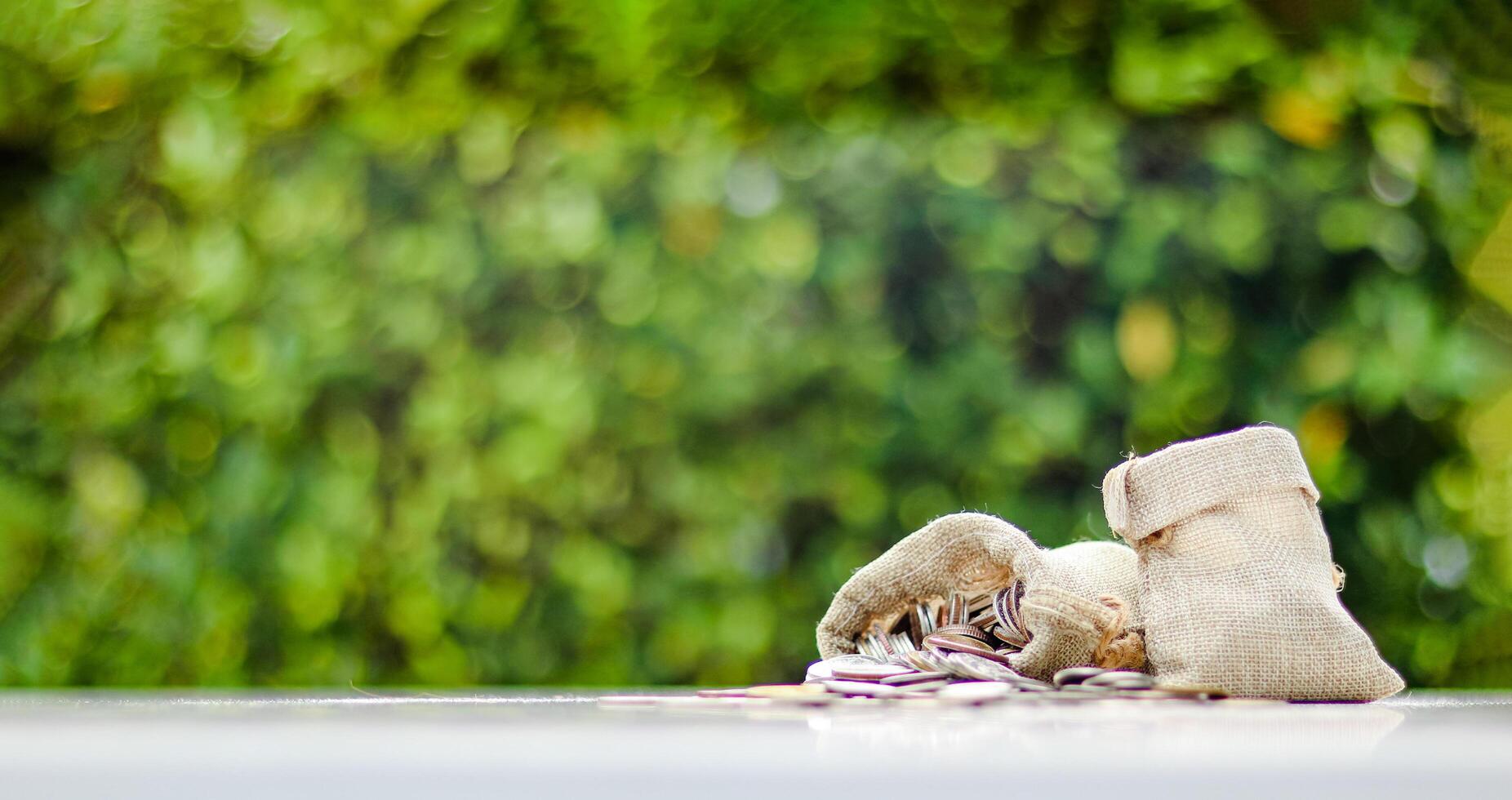 A burlap sack standing and another lying with coins spilling out onto a white surface, set against a blurred background of bushes, representing financial planning and budgeting. photo