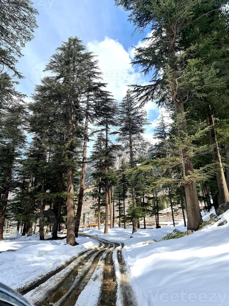 A car driving down a snowy road in the middle of a forest photo