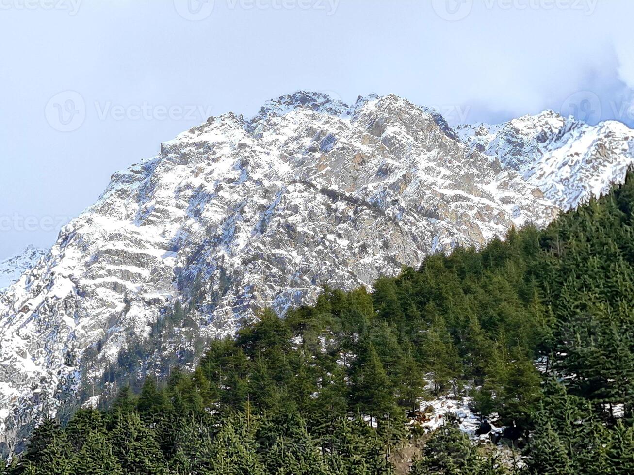 A mountain covered in snow with trees in the foreground photo
