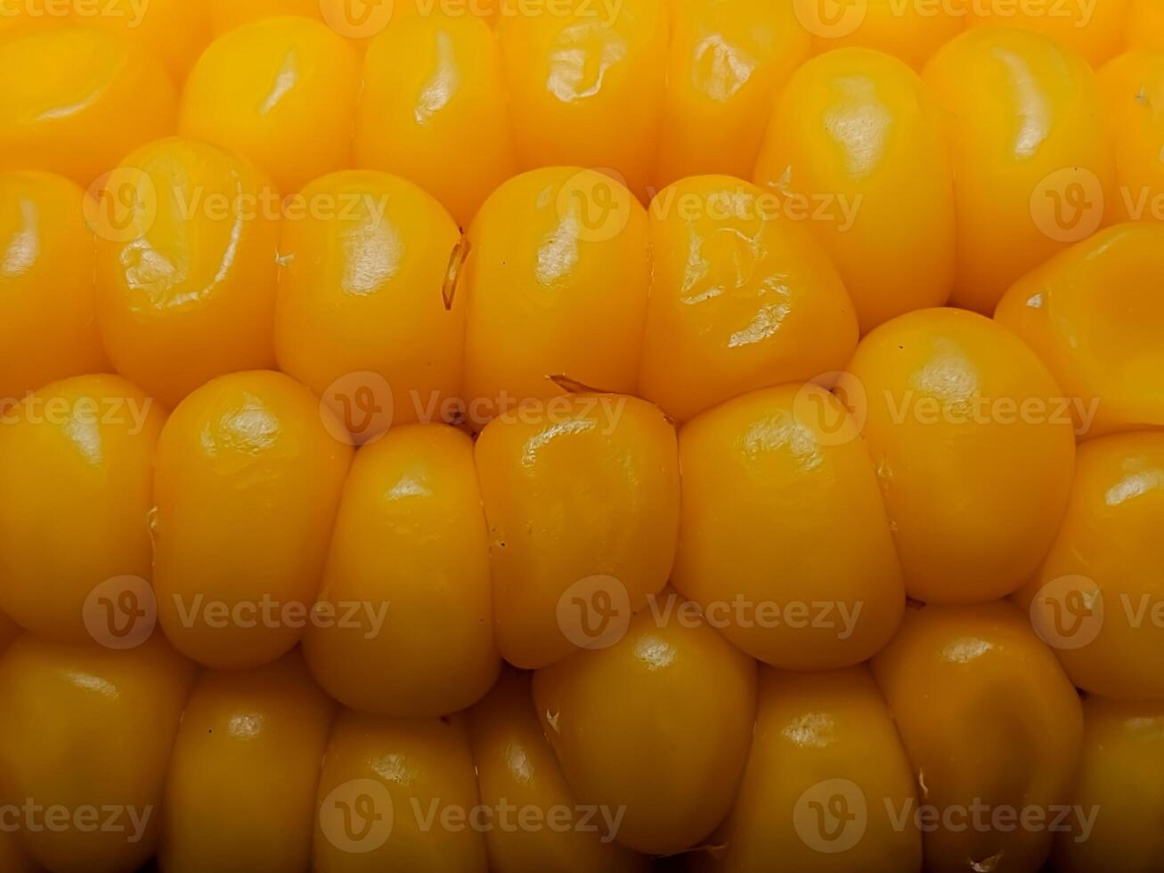 Intimate view of maize kernels, emphasizing their uniform arrangement and smooth surface. photo