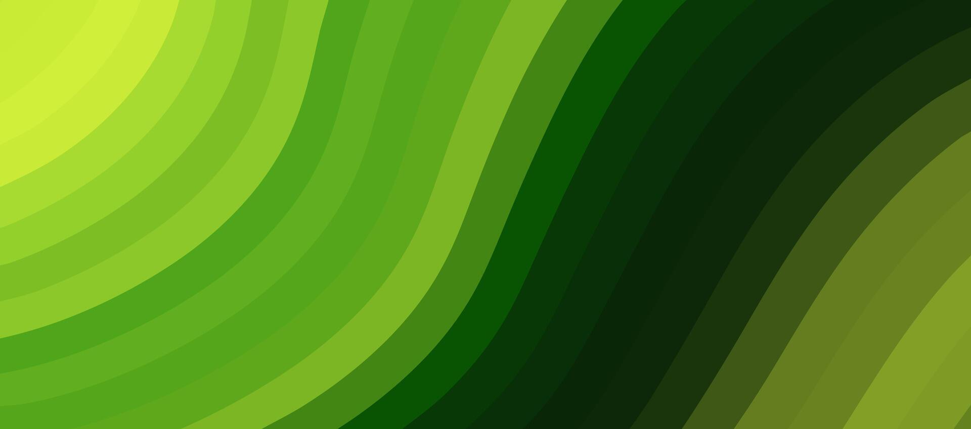 Abstract green background with curved lines vector