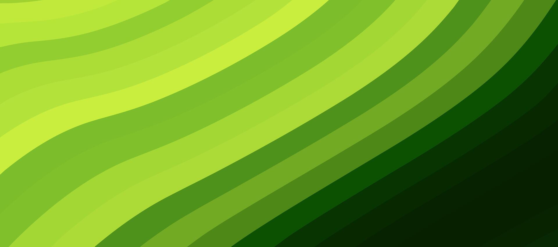 Abstract green background with curved lines. vector
