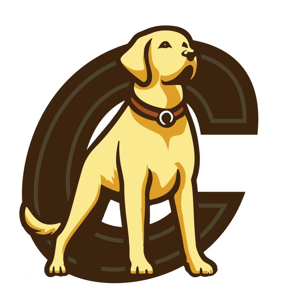 A Labrador Retriever dog, in front of the letter C. Can be used as a logo for a business, farm or other business. vector