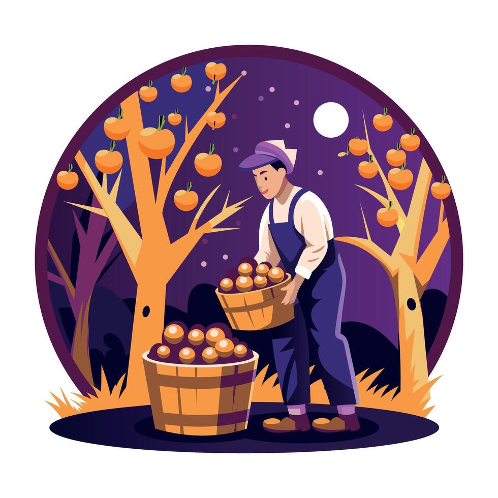 A flat illustration of a man harvest fruits in fall season vector