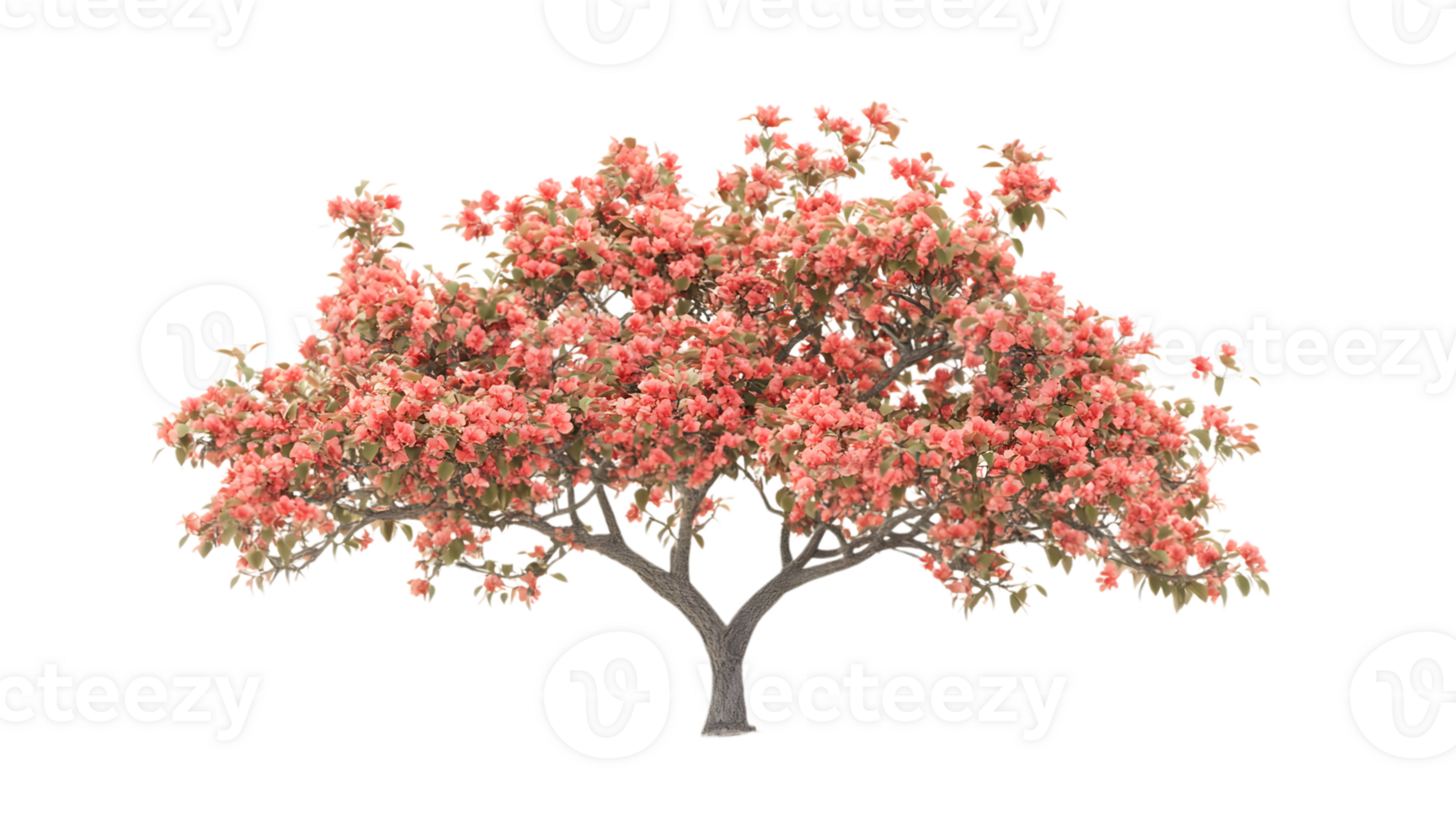 A pink tree with flowers on it png