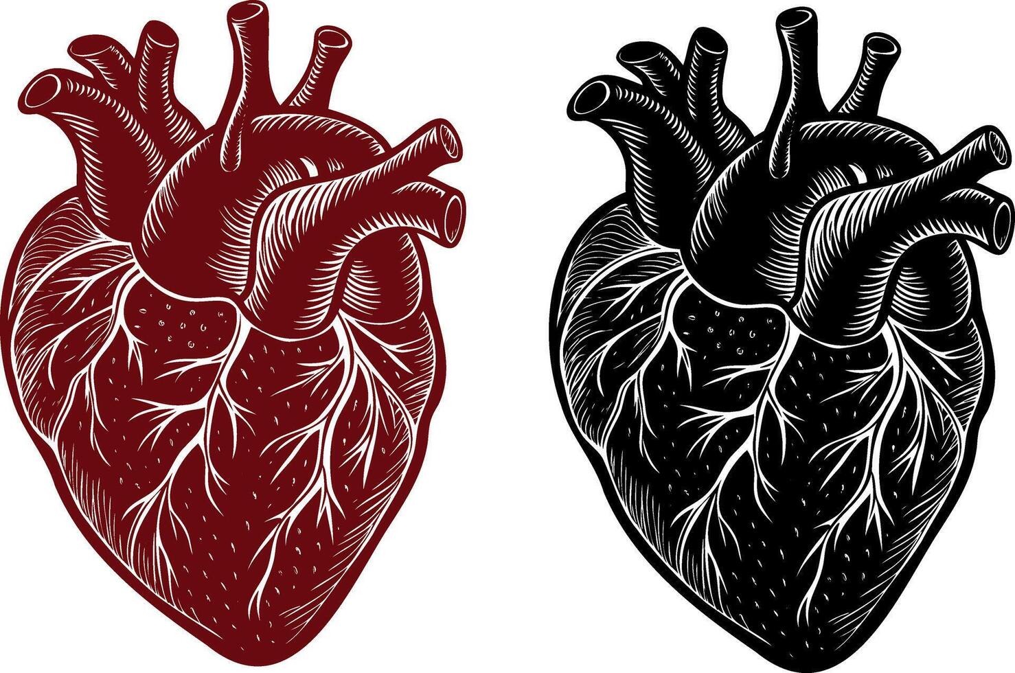 Realistic vintage black heart tattoo. Cardiology and biology medicine graphic engrave symbol. Anatomical coronary doodle. Vintage drawing medical shape vector