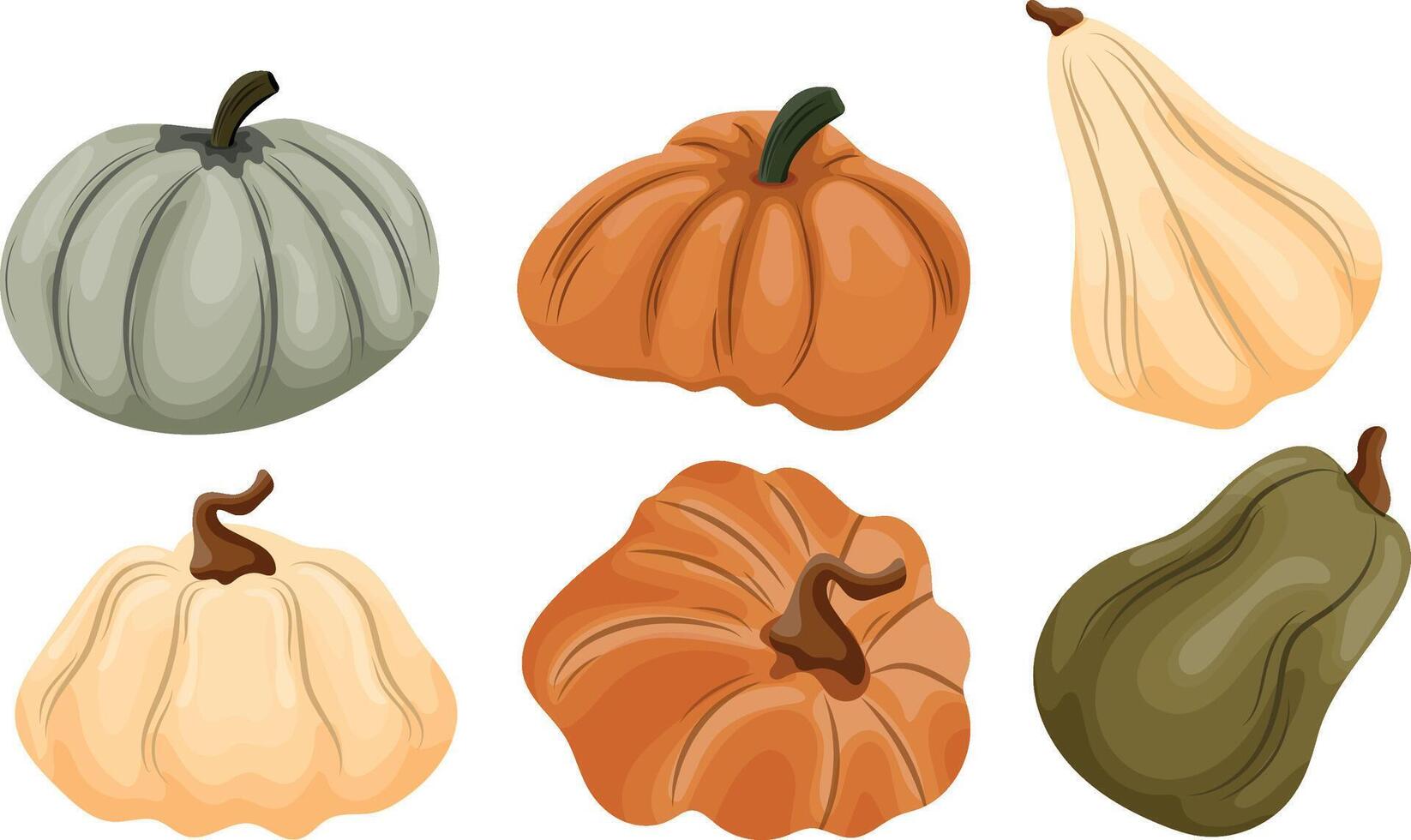 set of different pumpkins of different sizes and different colors vector