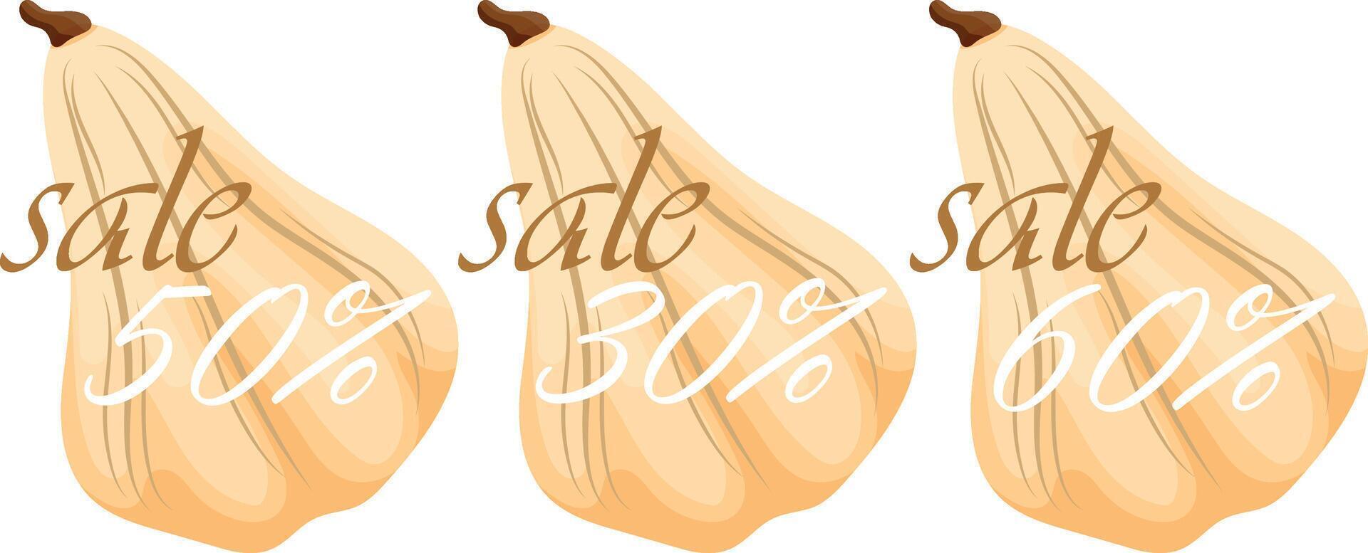 set of autumn black friday sale design with white long pumpkins with various discount numbers in it vector