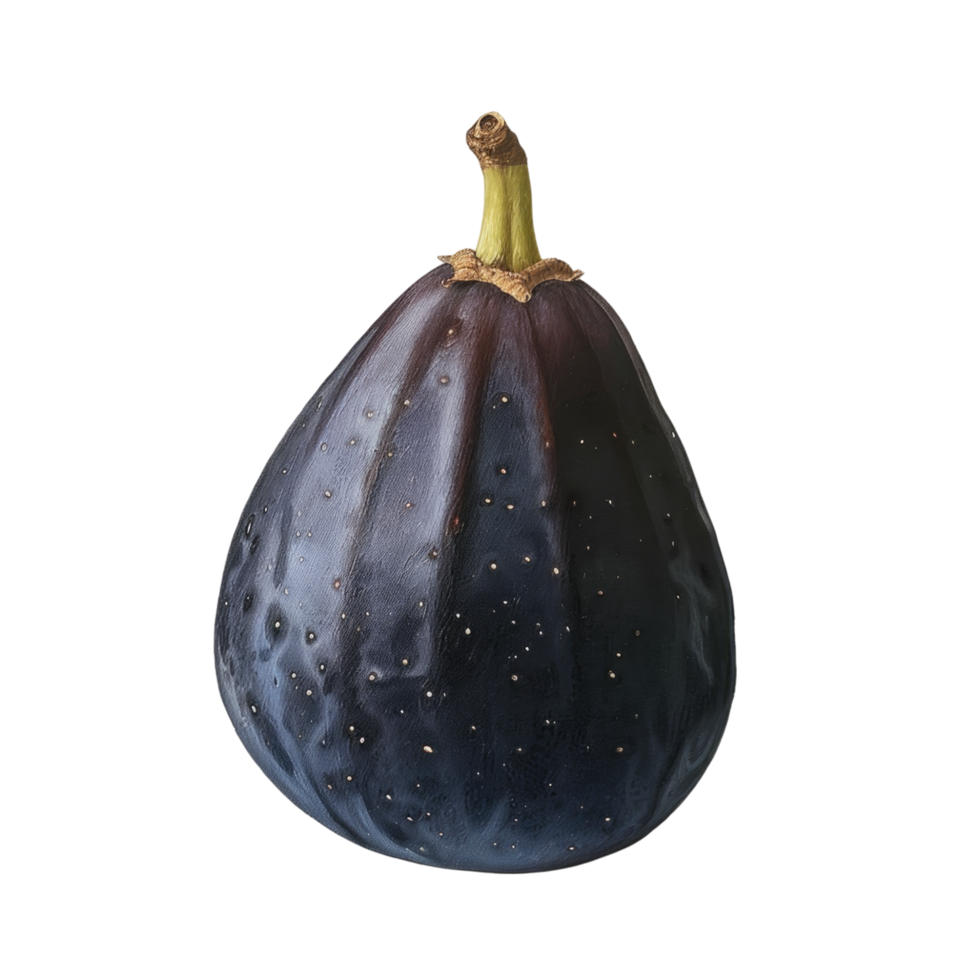 Fig transparent background png