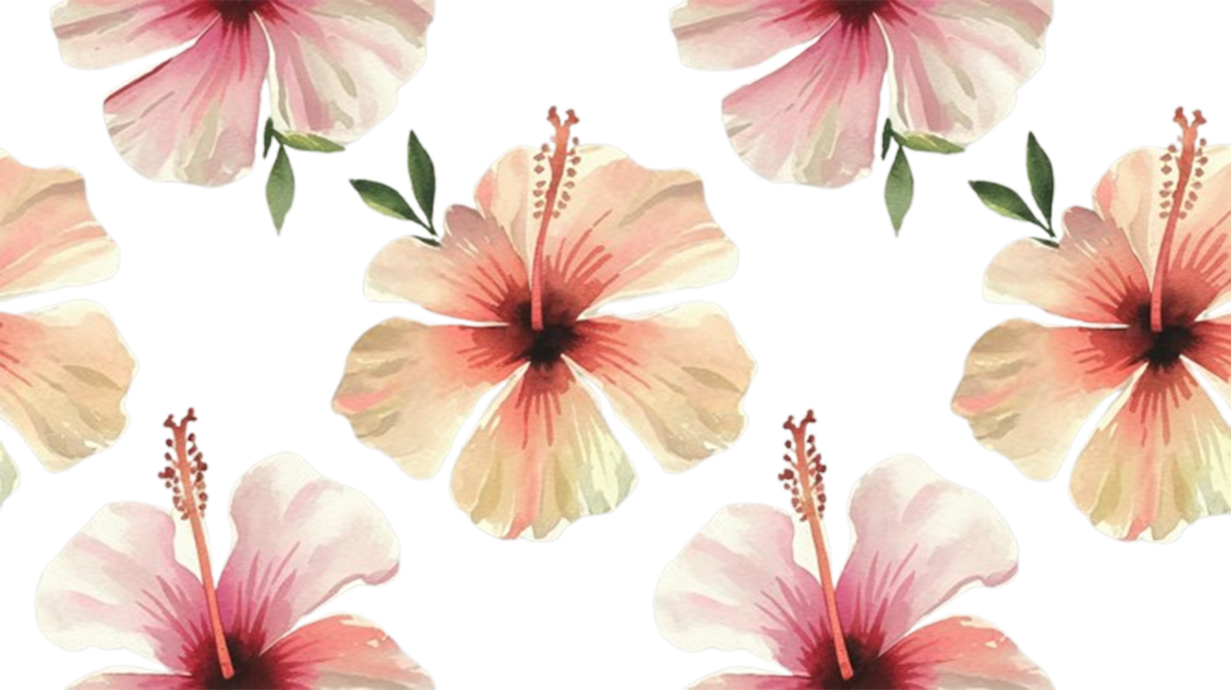 beautiful watercolor painting of hibiscus flowers in soft pink tones, showcasing their delicate petals and vibrant details. This artwork brings touch of natures elegance to any space png