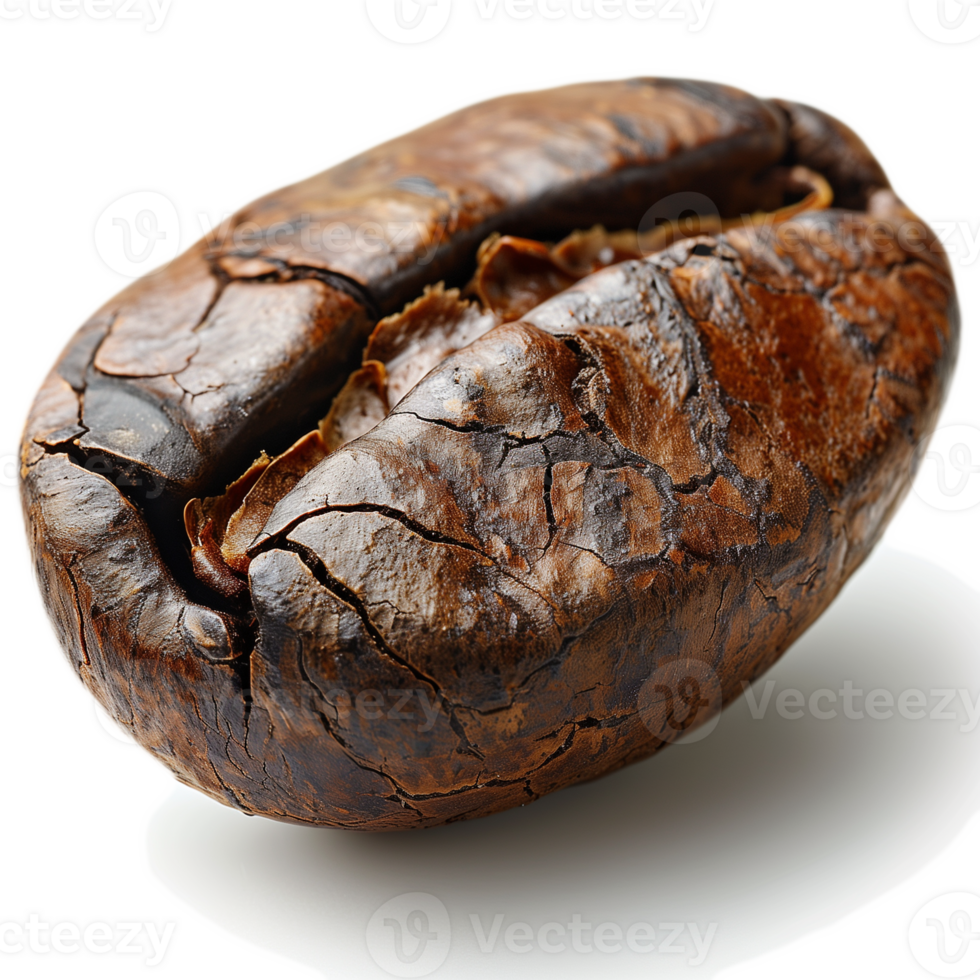 Coffee beans isolated on transparent background. png