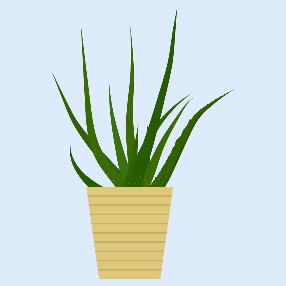 Beauty minimalist Aloe vera in pot. illustration design for interior element design vector