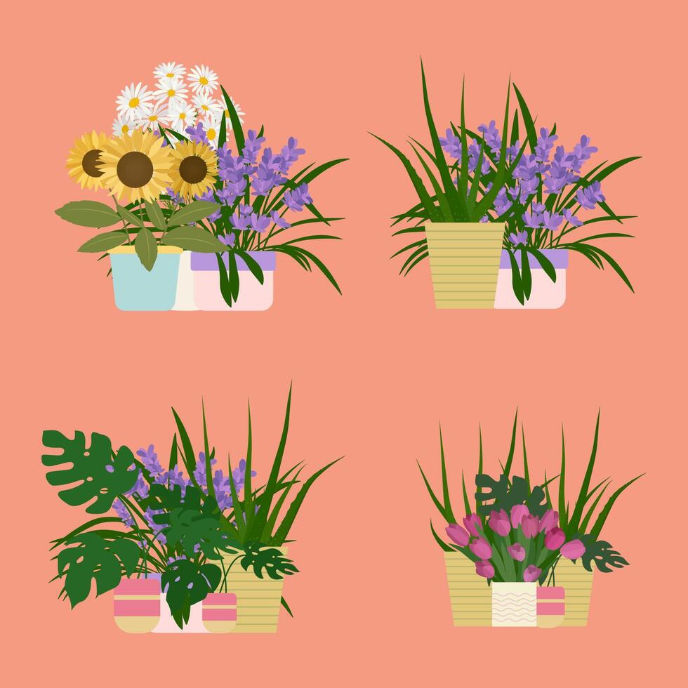 Set element interior floral aesthetic blooming flower in pot. illustration design for interior element design vector