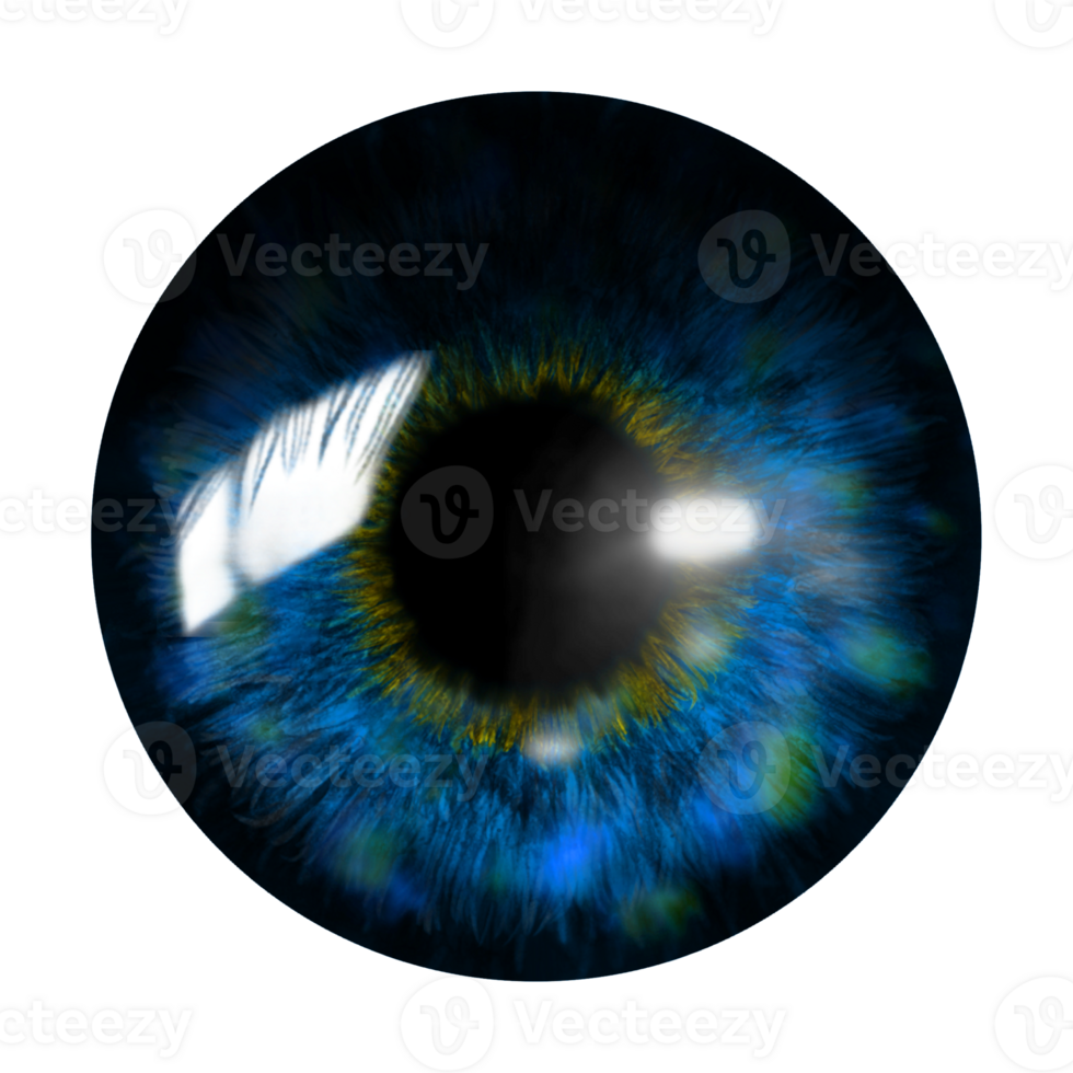 Blue Iris Eye png