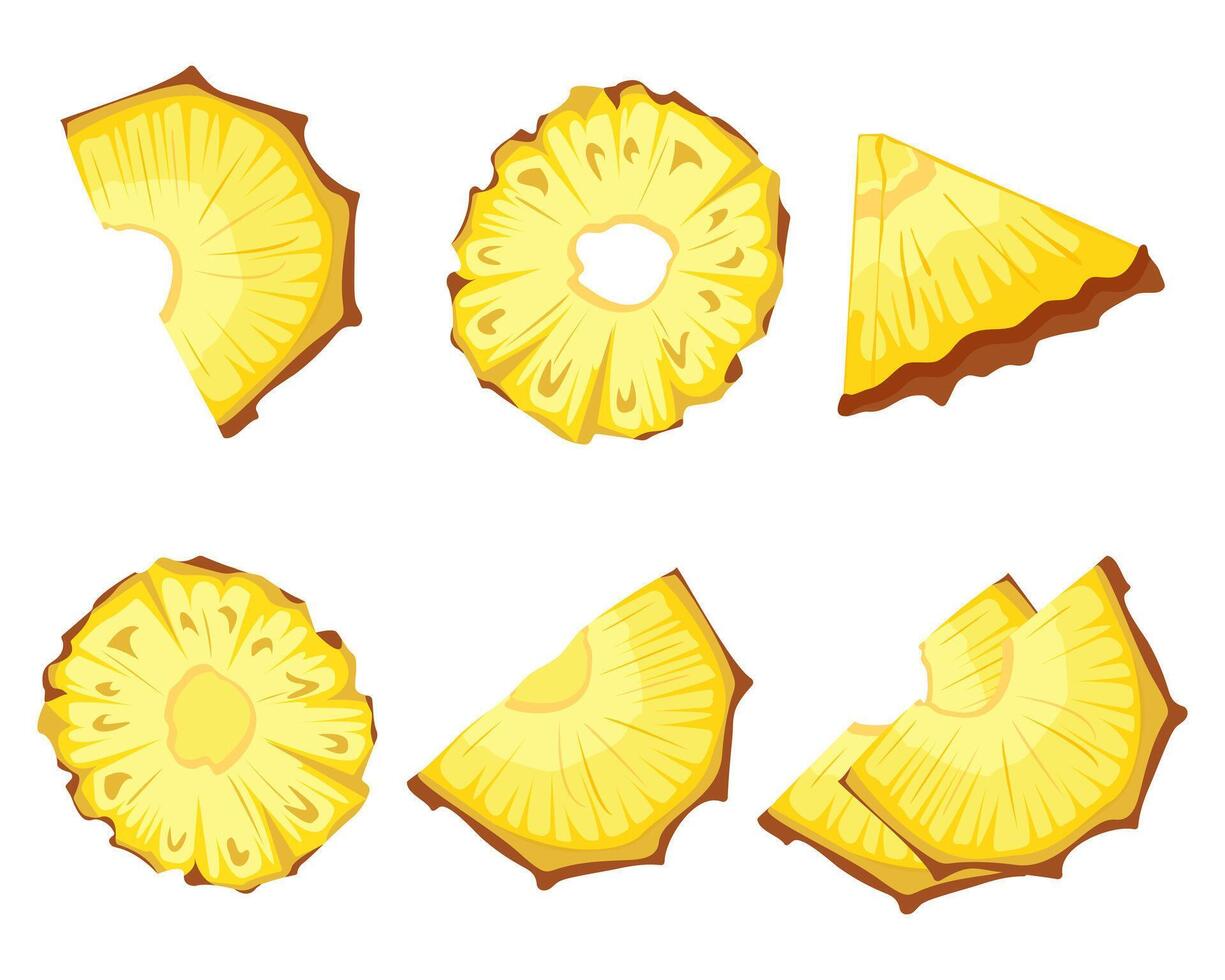 sliced pineapple slices solated white background. Citrus slices fruit. Icon set Ripe and delicious product vector