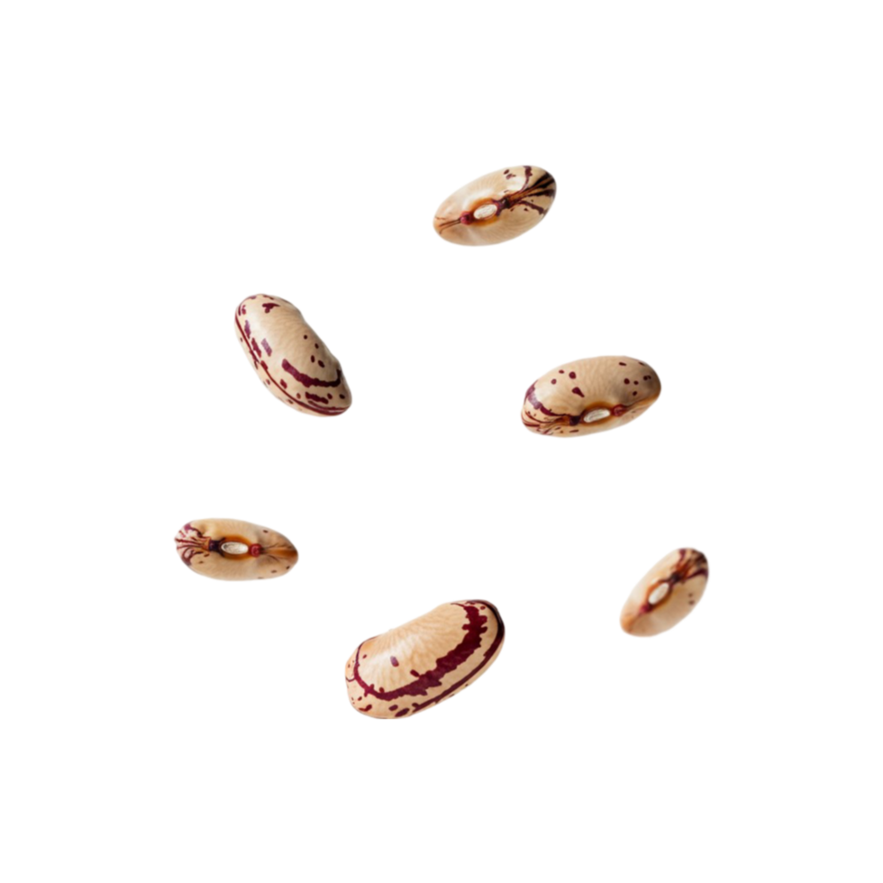 Coffee beans on an invisible backdrop png