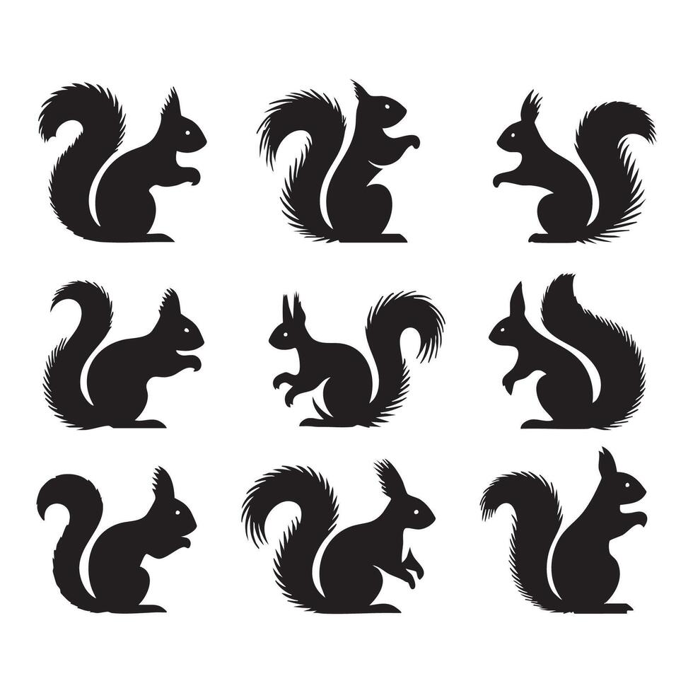 Assorted squirrel silhouettes arranged on a blank white backdrop vector