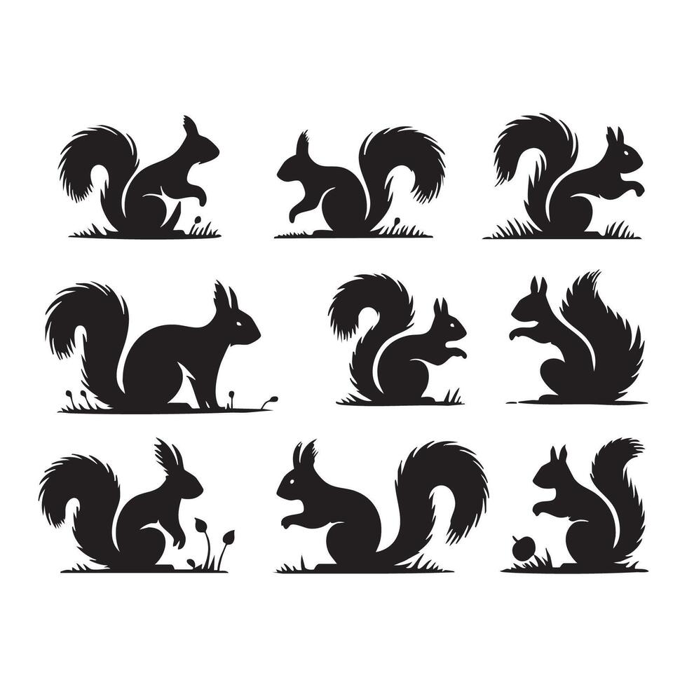 Collection of simple squirrel forms in black silhouette on white vector