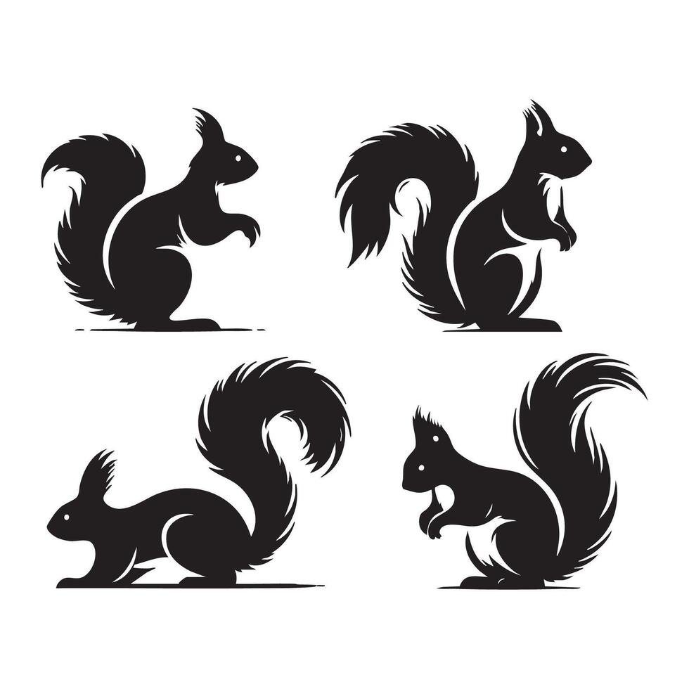 Compilation of squirrel shapes in bold silhouette on white vector