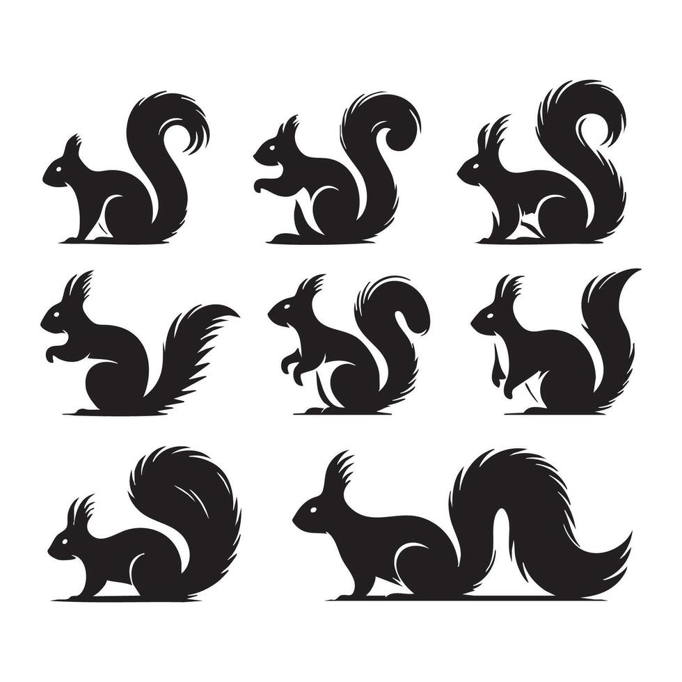 Multiple squirrel silhouettes arranged on a solid white background vector