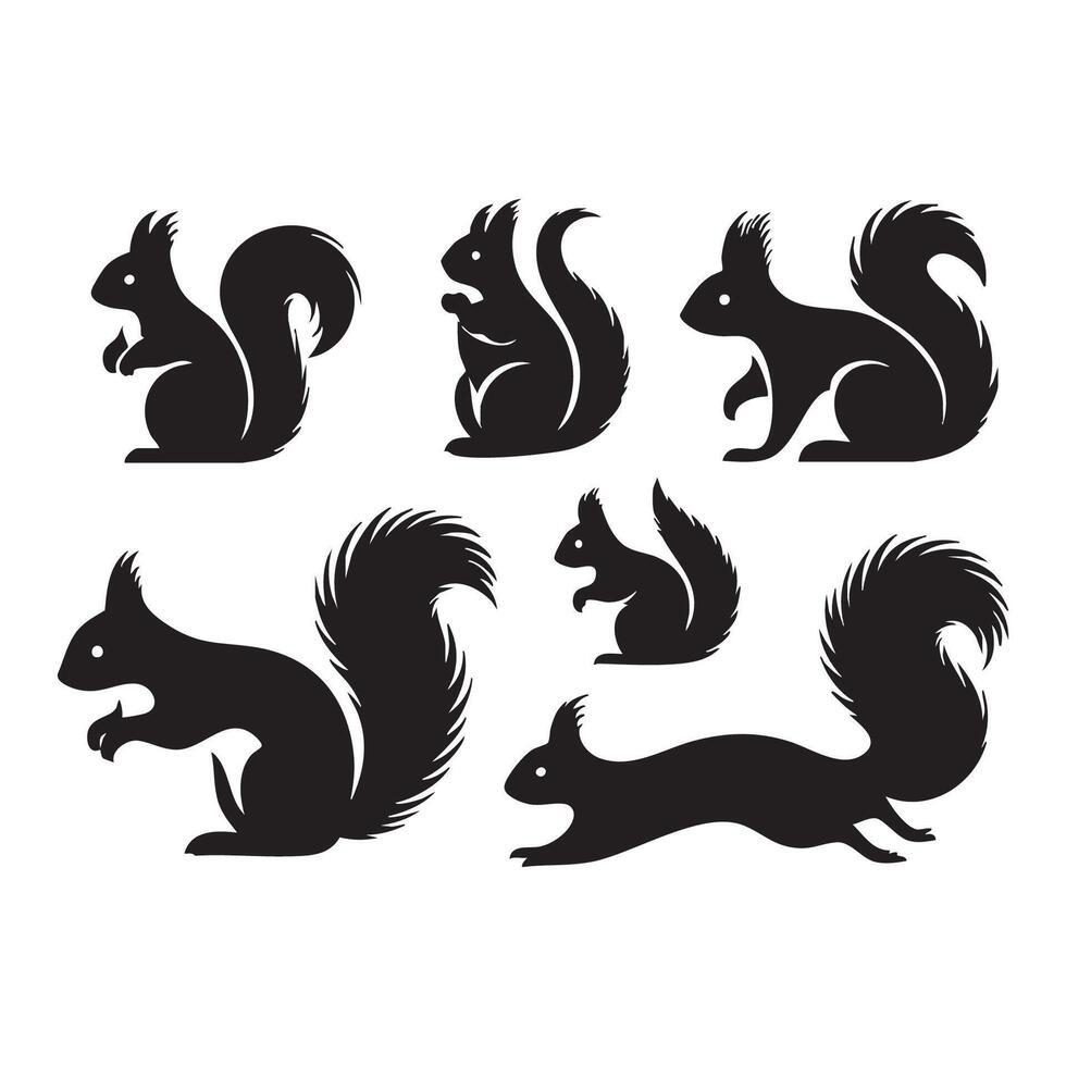 Assortment of squirrel cutout shapes on a clear white background vector