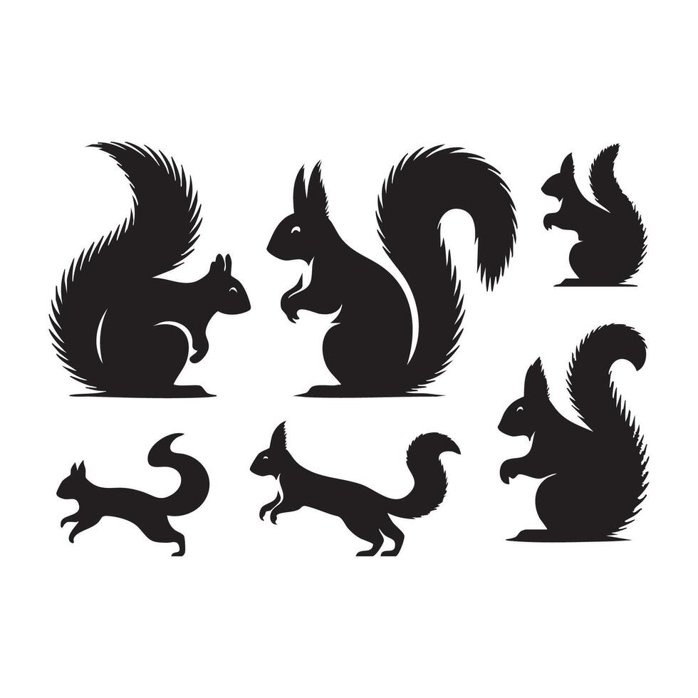A set of outlined squirrel silhouettes featured on a white background vector