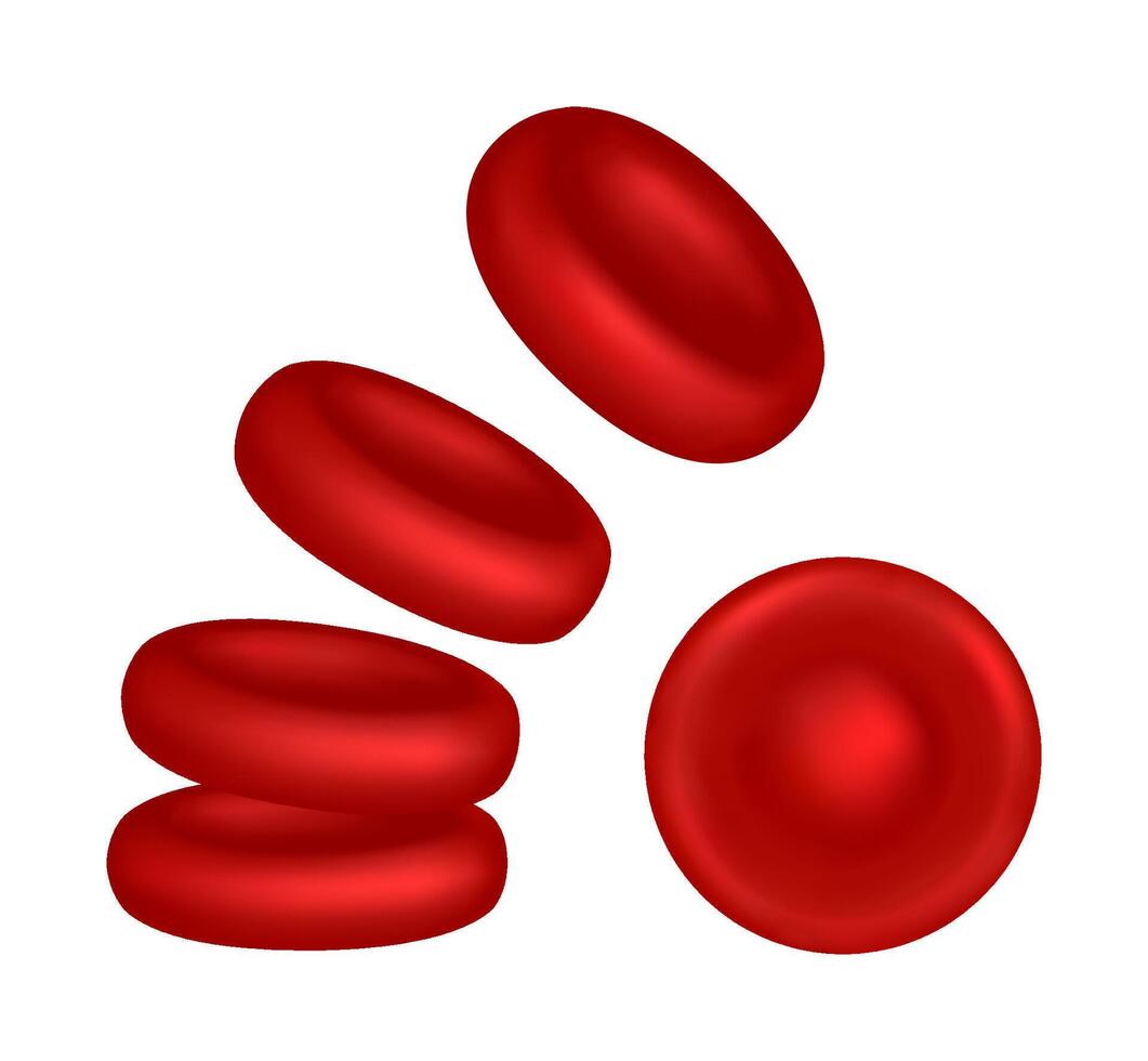 Set of red blood cells or erythrocytes vector
