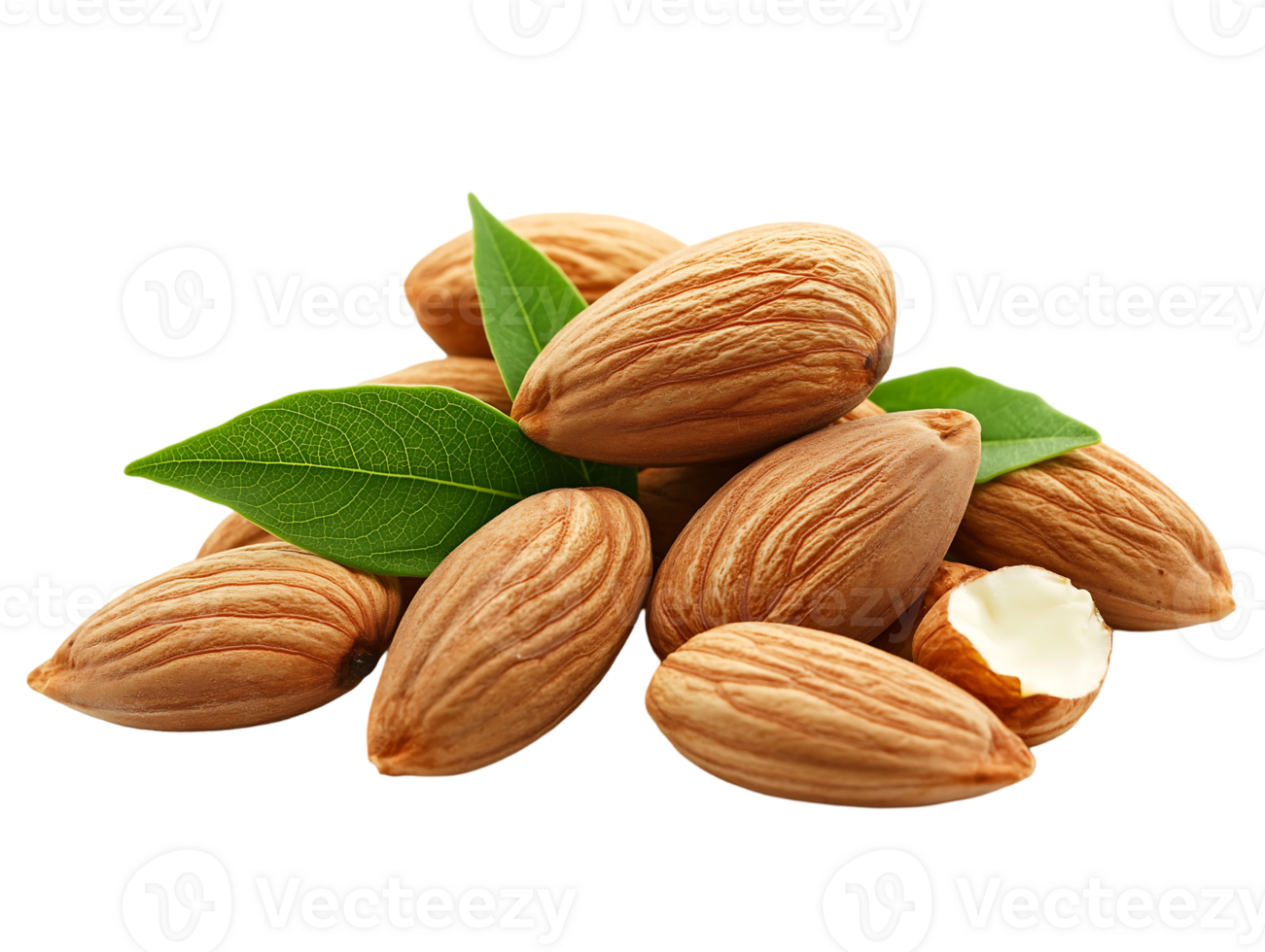 Natural and Nutritious Whole Almonds with Green Leaves Capturing the Freshness, Texture, and Nutritional Value of This Popular Snack Perfect for Culinary Photography png