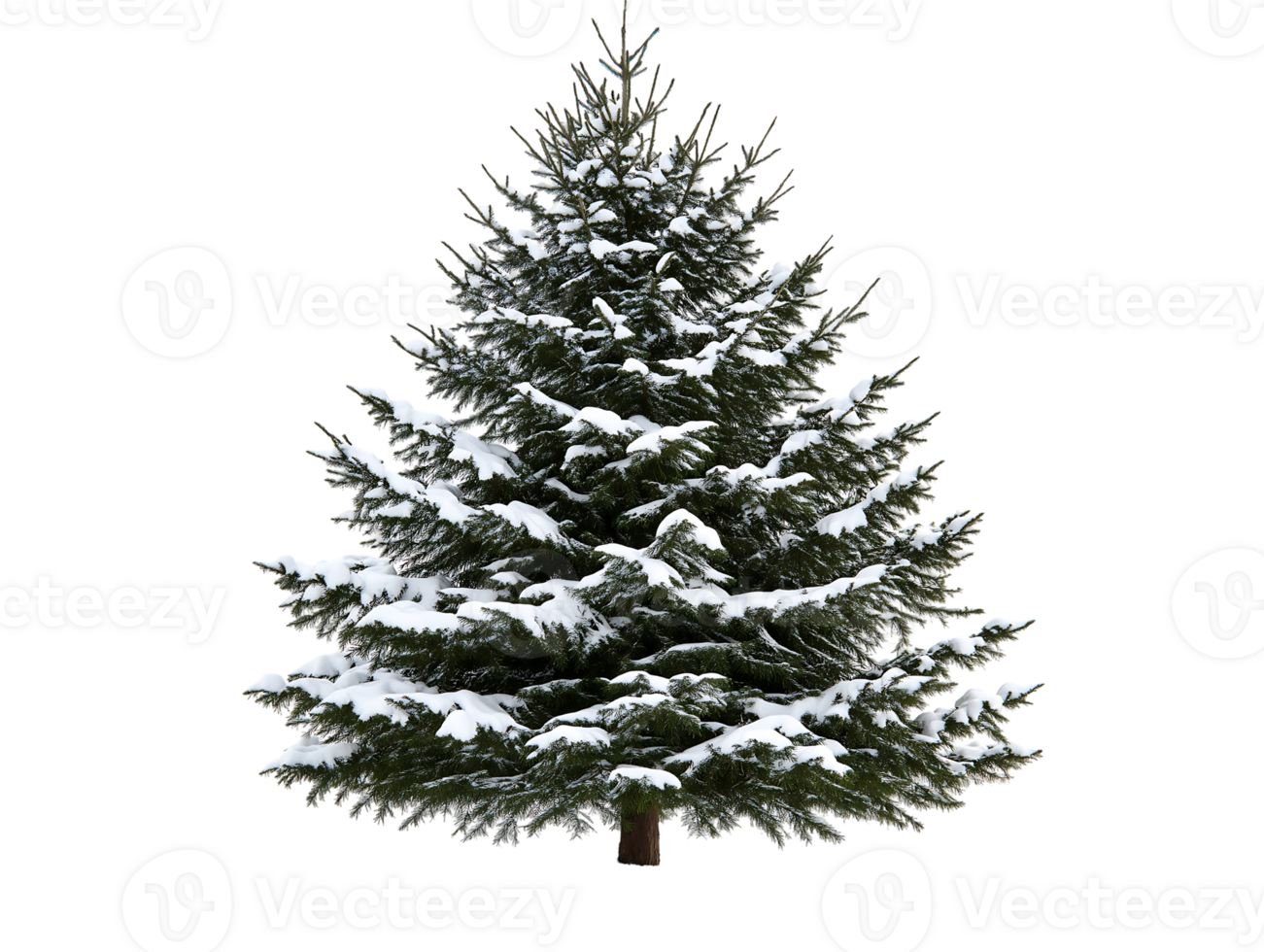 A christmas tree is shown in the snow png