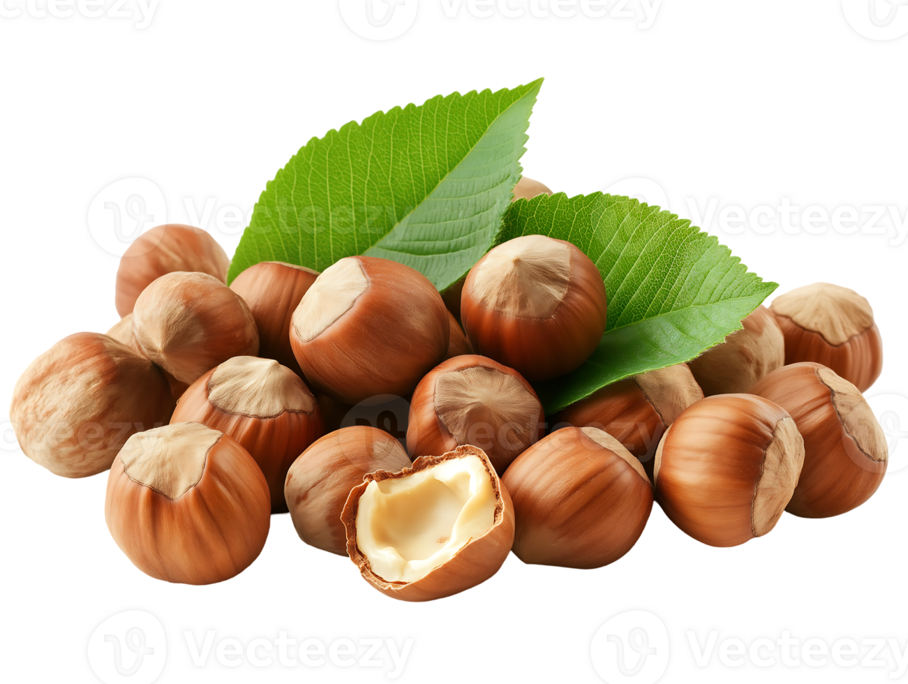 Hazelnuts with leaves on Isolated on transparent background png