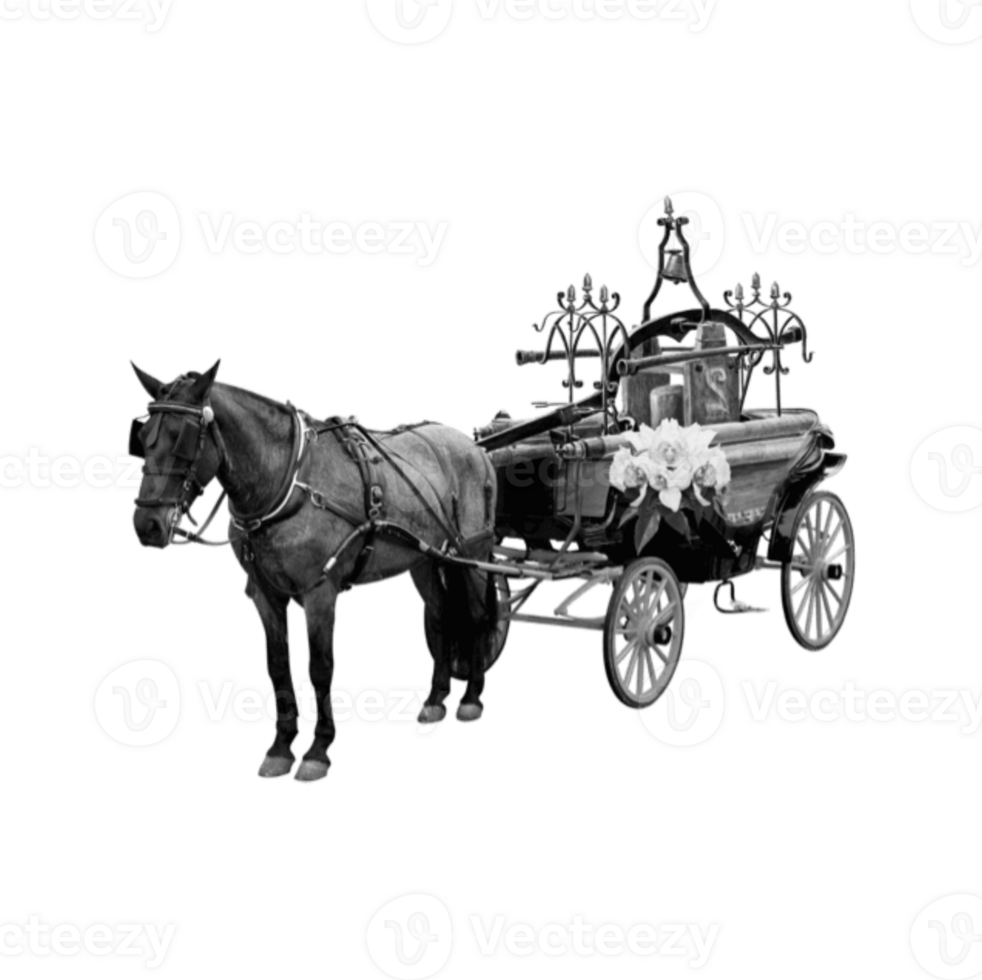 Horse pulling a carriage with a casket on top. png
