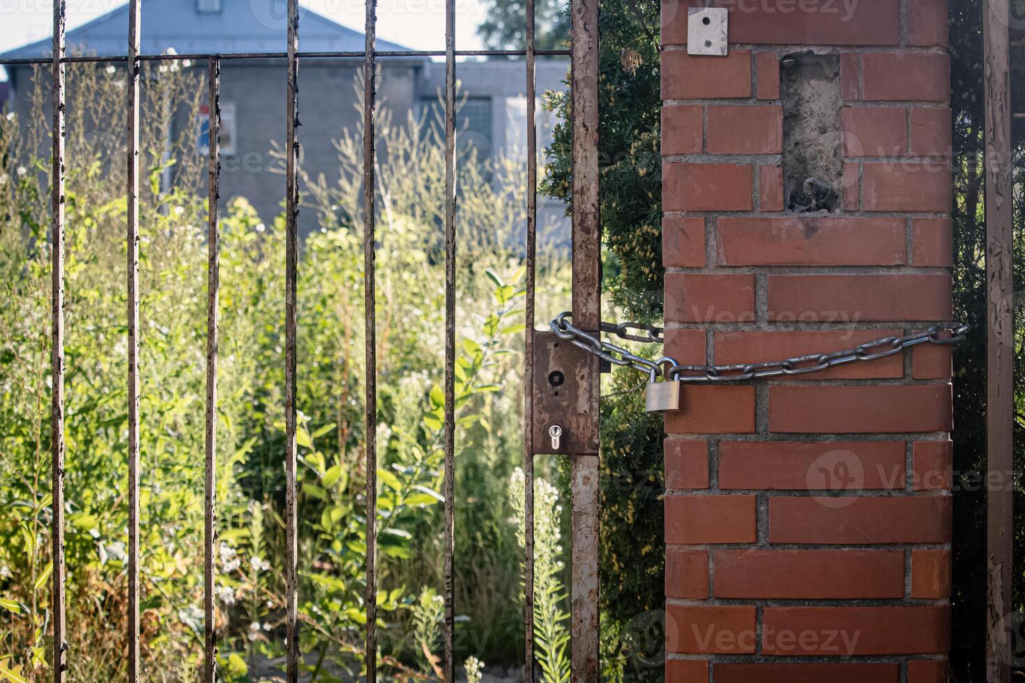 Rusty old lock hangs on a chain at the gate on a red brick post on abandoned territory with greenery photo