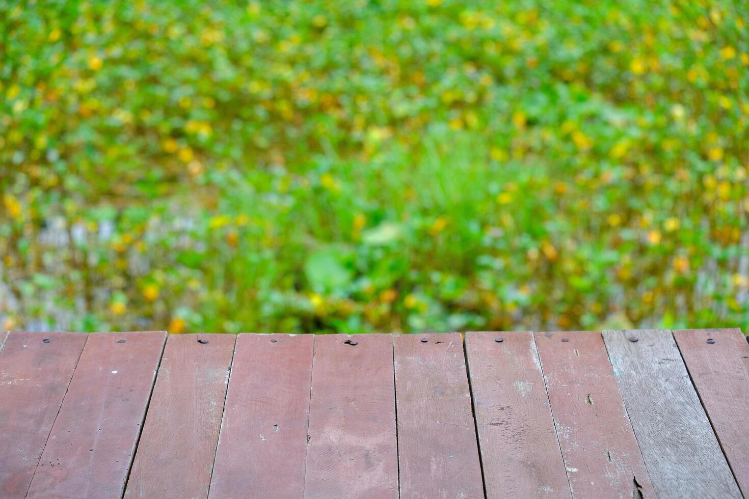 Wooden floor with lotus pond as background, green grass.Green background image photo