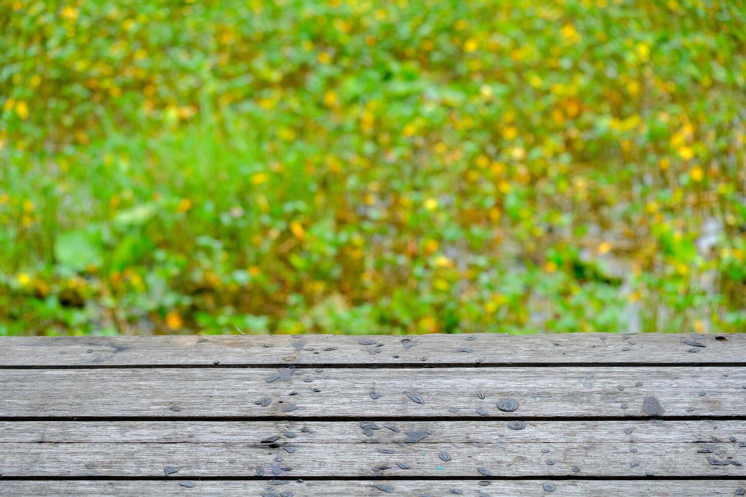 Wooden floor with lotus pond as background, green grass.Green background image photo