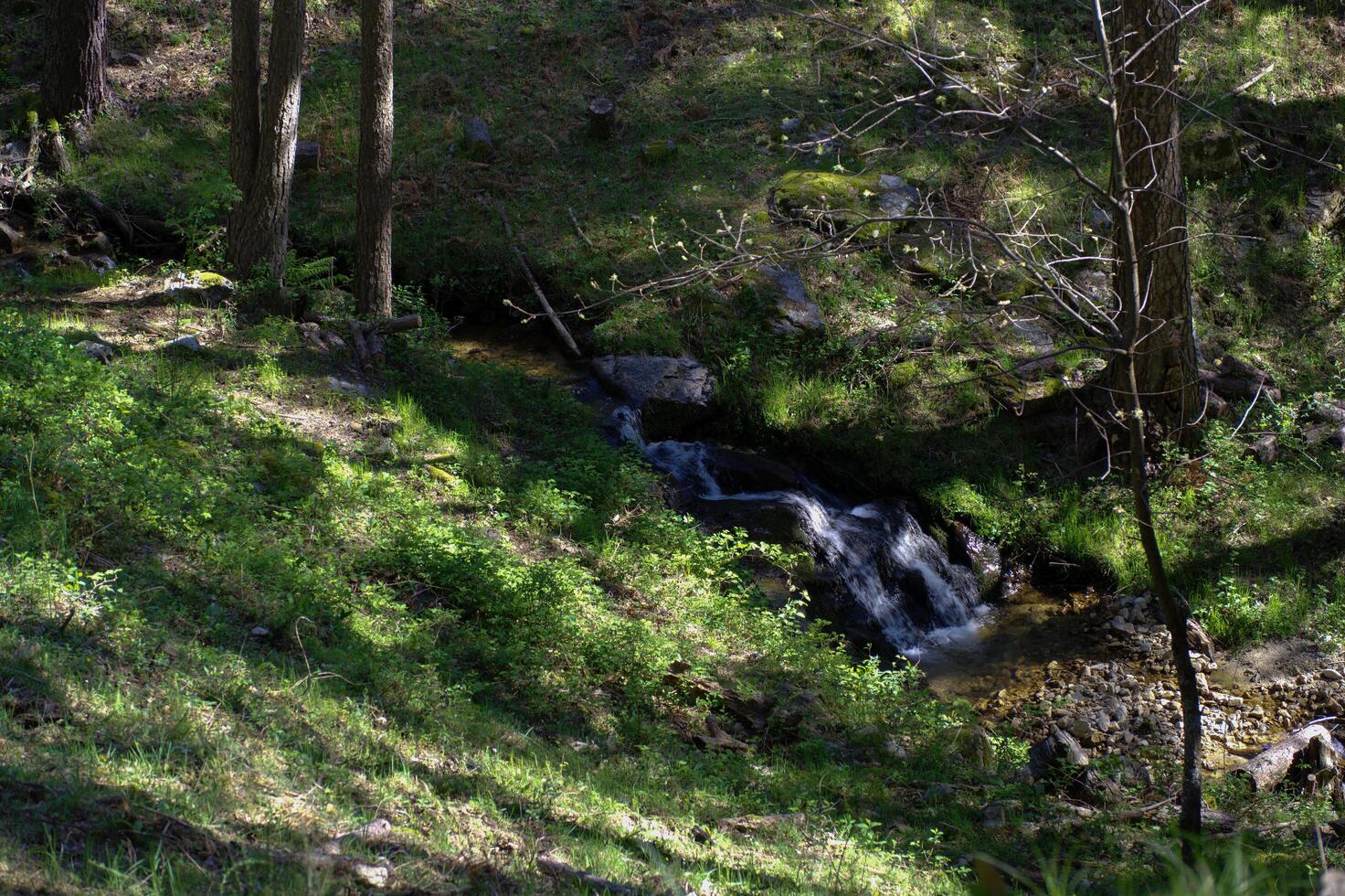 stream, brook, water, mountains, nature, view, landscape, mounta photo