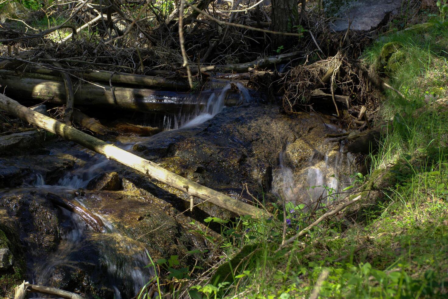 stream, brook, water, mountains, nature, view, landscape, mounta photo