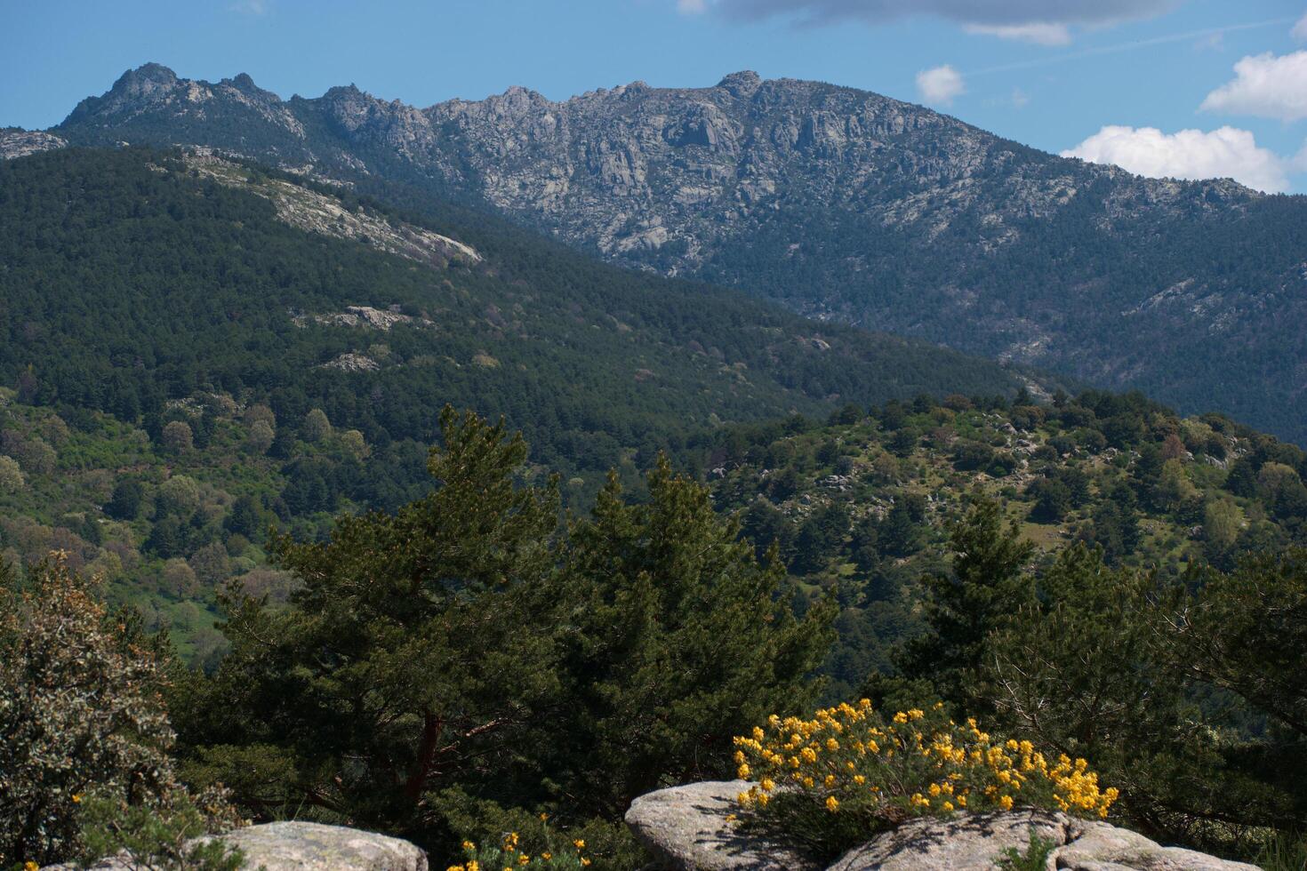 landscape, view, mountains, nature, trees, spain, madrid, outdoo photo
