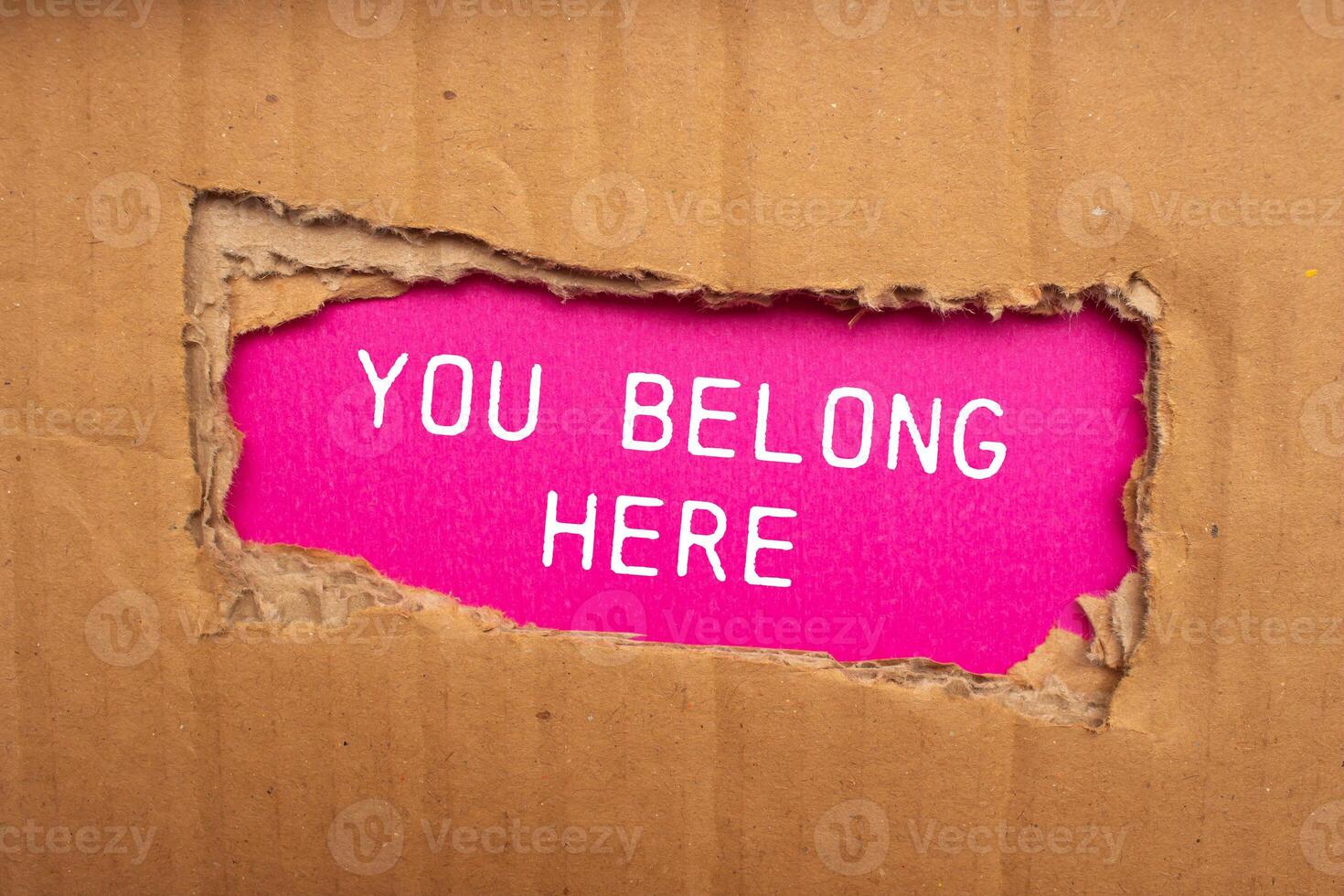 You belong here message written on ripped torn cardboard paper with pink background. Conceptual you belong here symbol. Copy space. photo